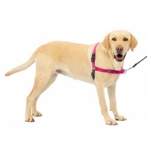 PetSafe Easy Walk Dog Harness Raspberry Gray Large
